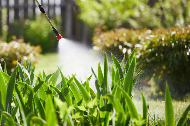 Tamper-Resistant Bait Stations for Rodents in Maplewood