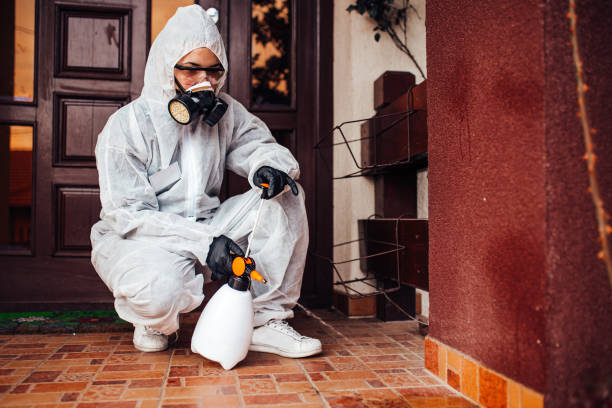 Attic and Crawl Space Rodent Treatment in Maplewood