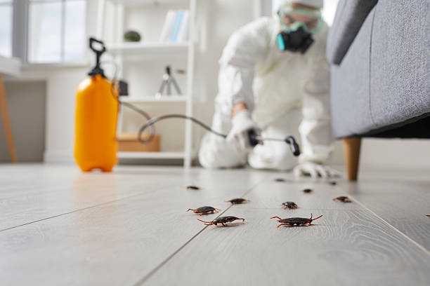 Commercial Rodent Management in Maplewood
